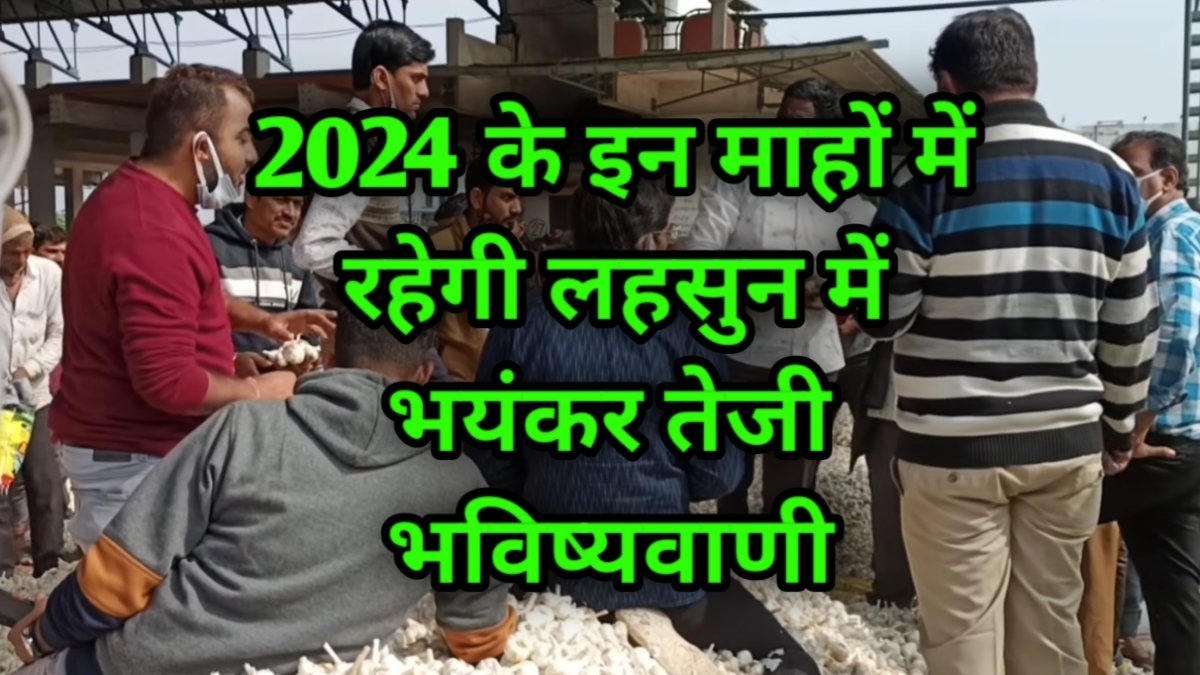 lahsun bazar bhavish 2024